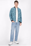 Light Blue Multicolor
